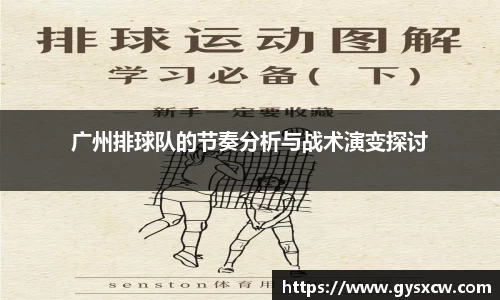 广州排球队的节奏分析与战术演变探讨